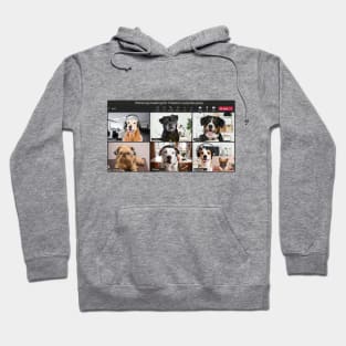 Puppy Zoom Call Hoodie